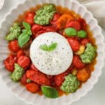 Burrata med ovnbagte tomater og pesto