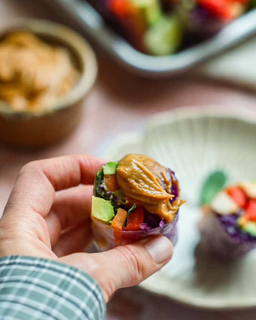 Friske forårsruller_07