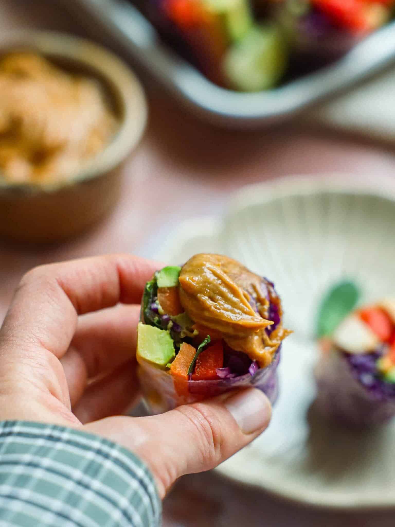 Friske forårsruller_07