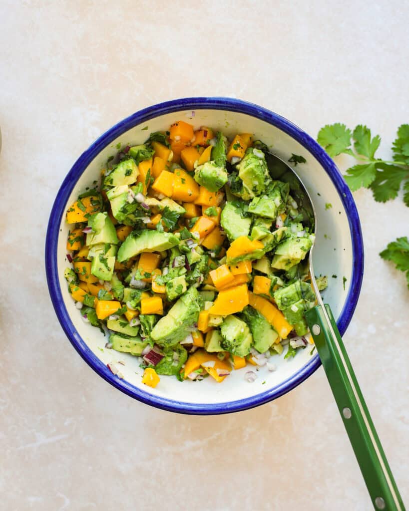 mango-avocado-salsa_04