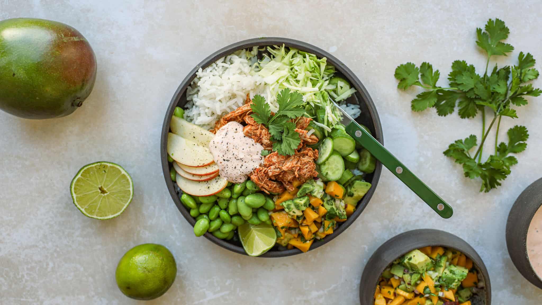 Pulled chicken bowl_02