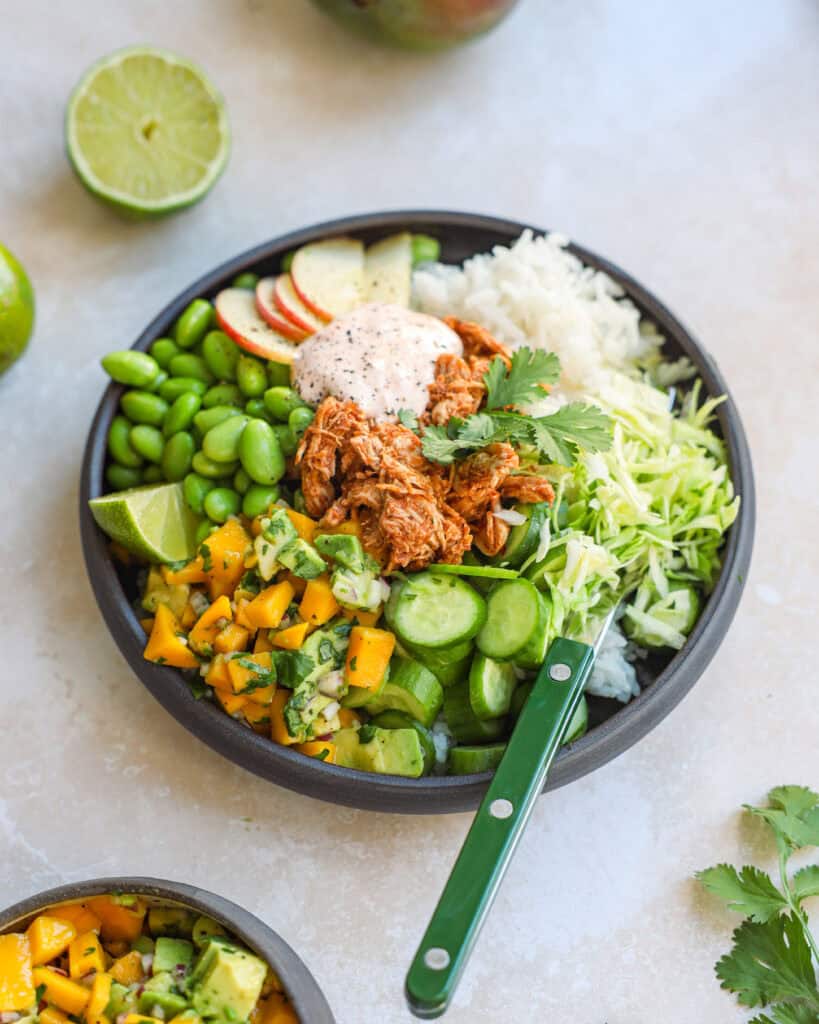 Pulled chicken bowl_06