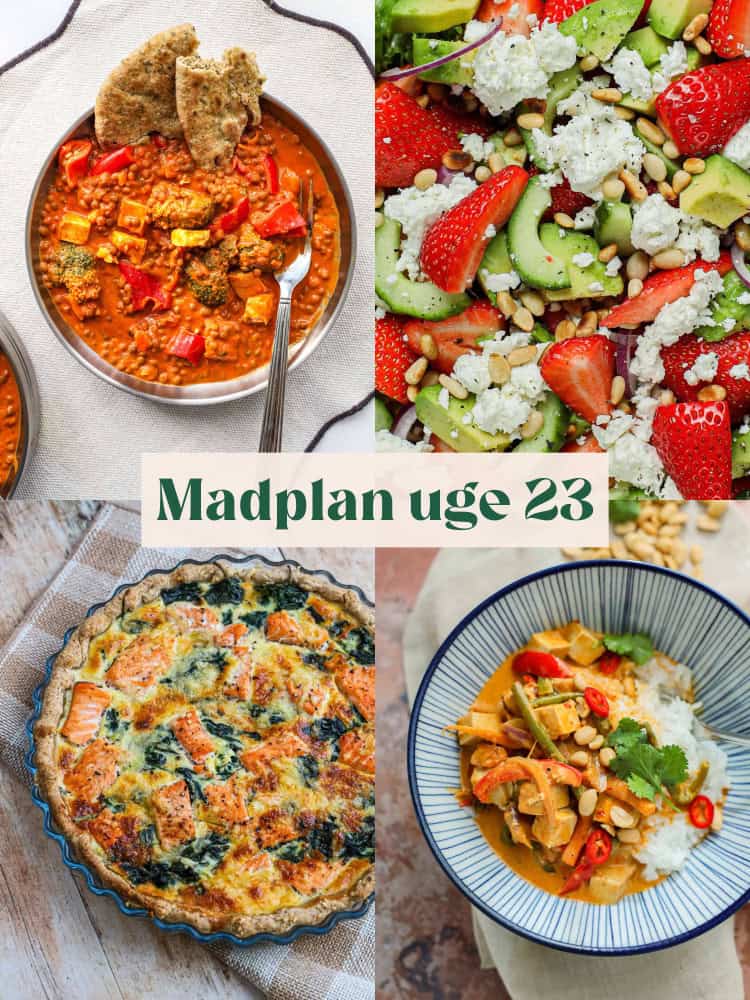 Madplan uge 23 - nem aftensmad