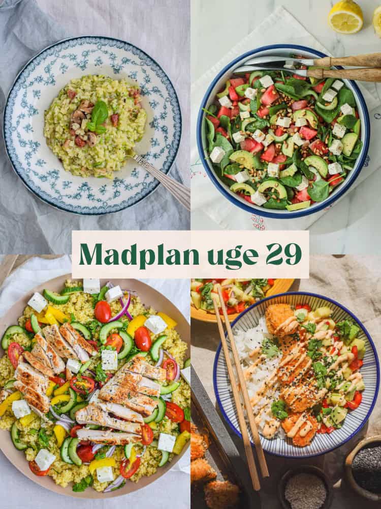 Madplan til uge 29 med indkøbsliste